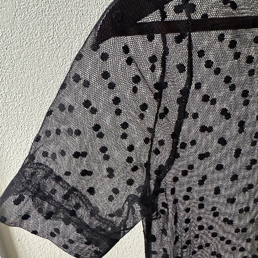 Women’s Sheer Mesh Dress with Polka Dots - Picture 9 of 9